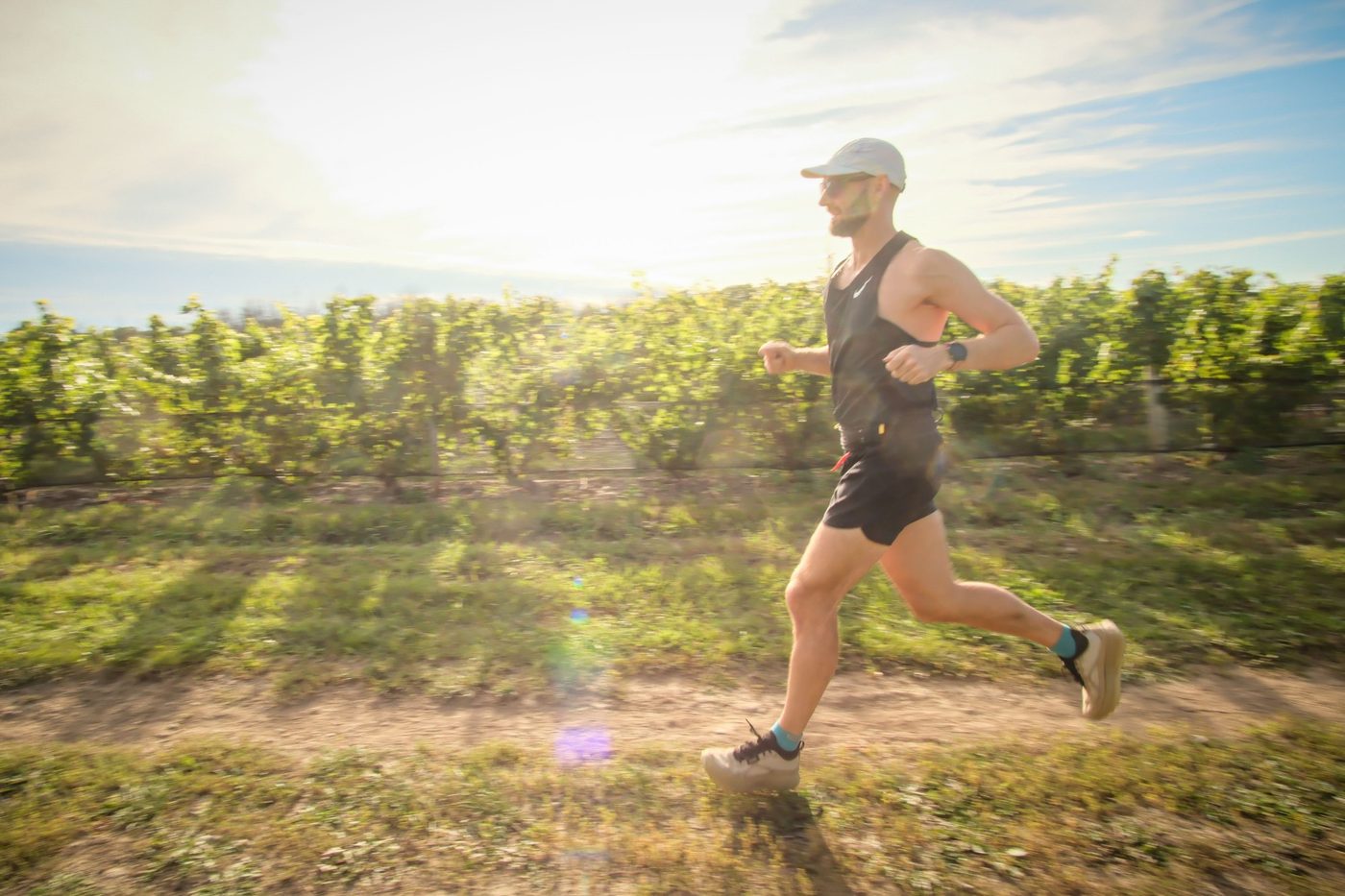 Clifford running on a dirt path beside a vineyard.